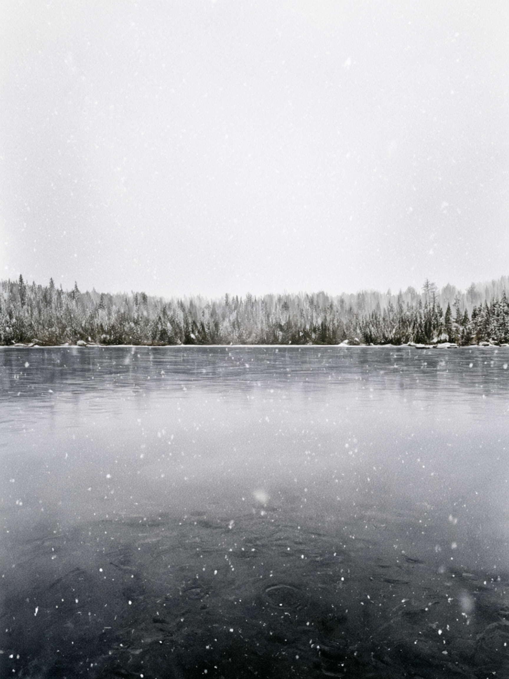 Carte Flocons de neige sur le lac aquarelle