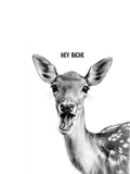 Carte Hey Biche