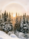 Carte Rayon de soleil en hiver aquarelle