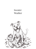 Carte Sweater Weather