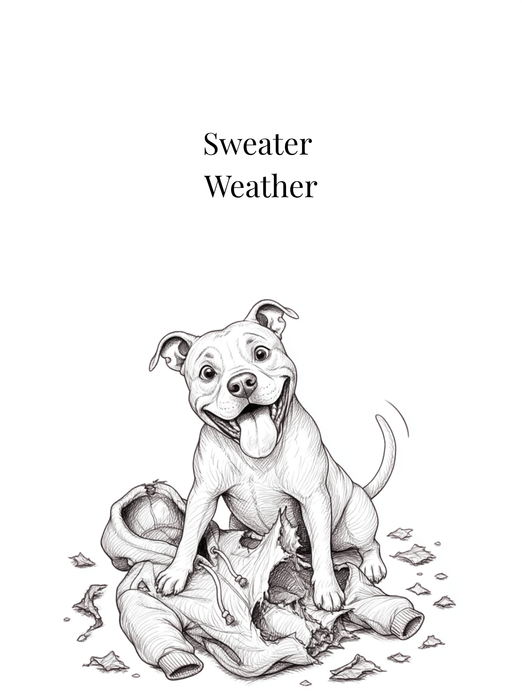 Carte Sweater Weather